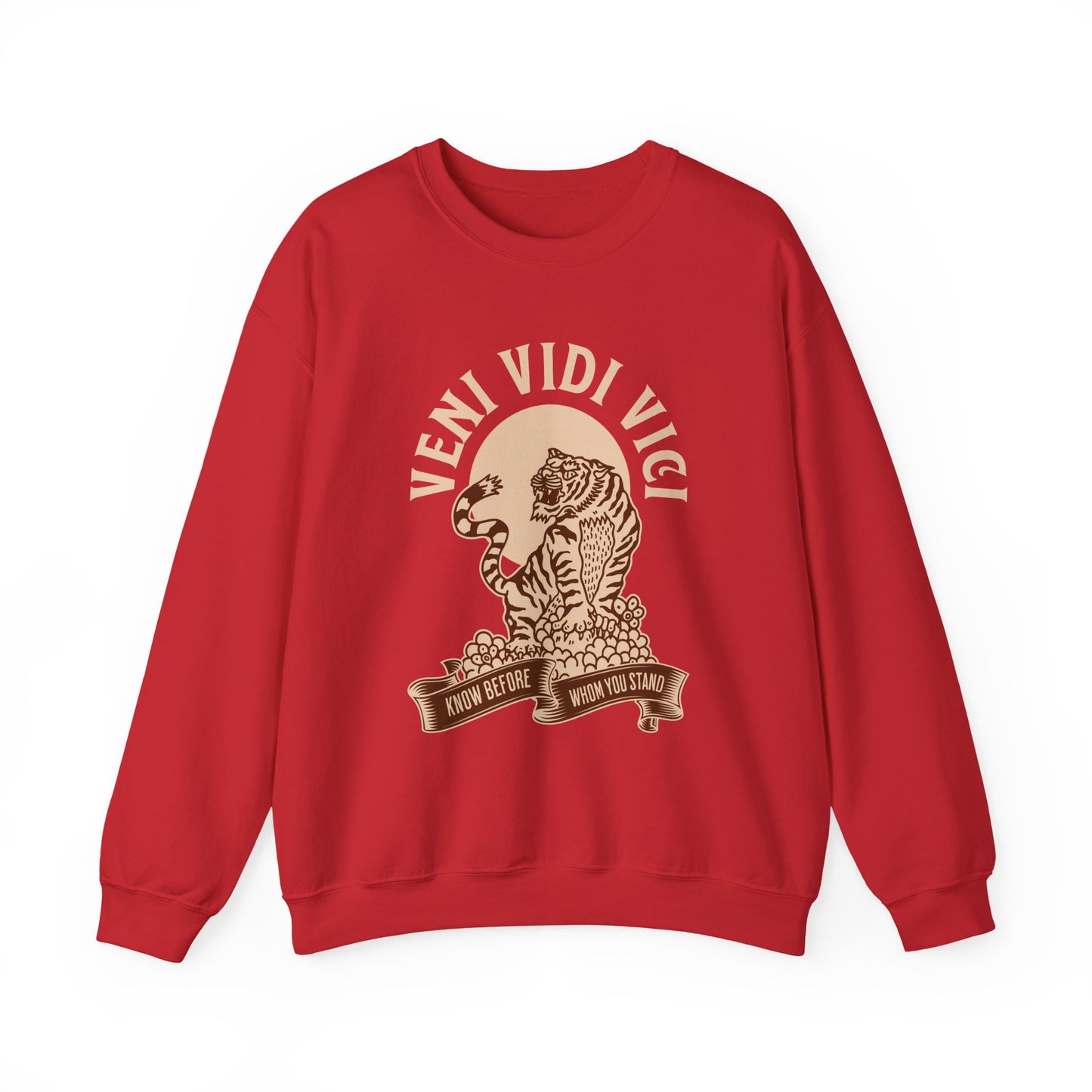 Veni vidi vici Sweatshirt