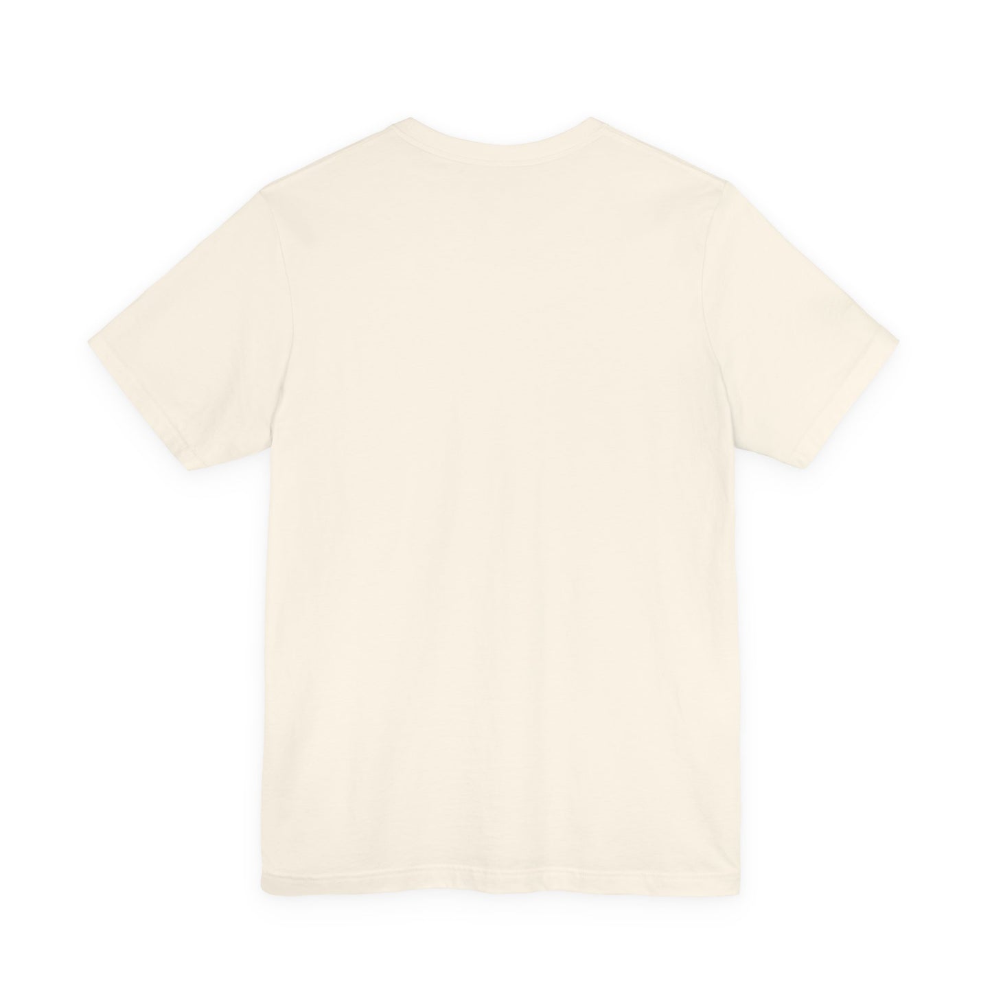 History teachers always bringing up the past T-Shirt