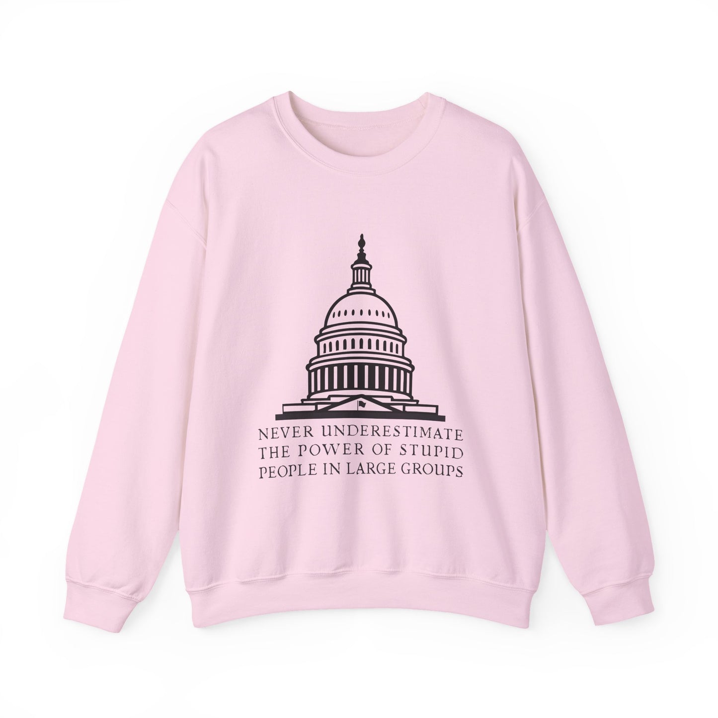 Stupid People In Large Groups Sweatshirt