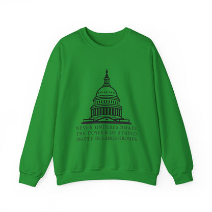 Stupid People In Large Groups Sweatshirt