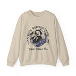 I am a writer there for, I am not Sane Sweatshirts