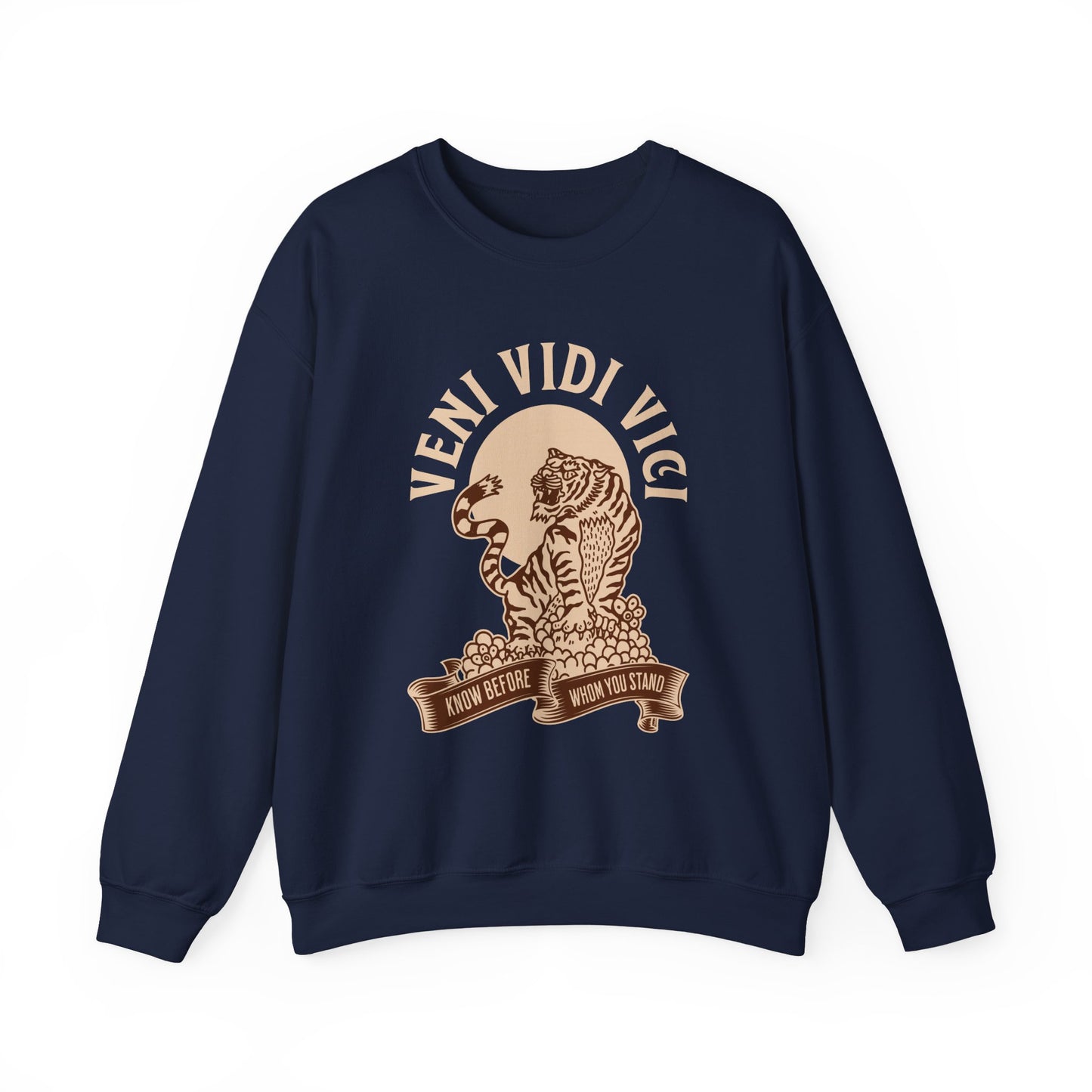 Veni vidi vici  Sweatshirt