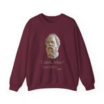 Socrates I Drank What Sweatshirts