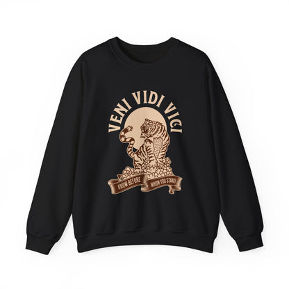 Veni vidi vici  Sweatshirt