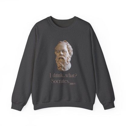 Socrates I Drank What Sweatshirts