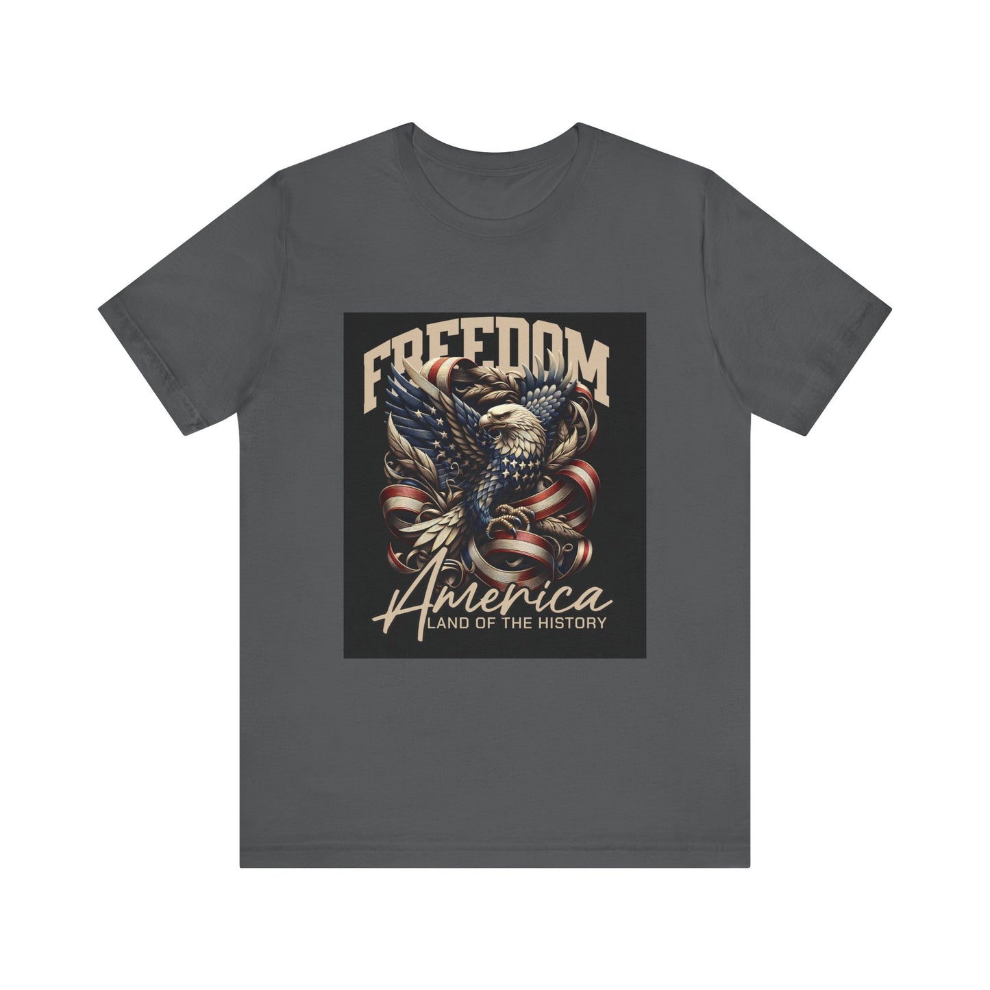 America Land of THE History T-Shirt